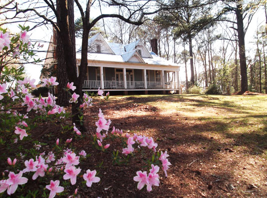 Featured Property